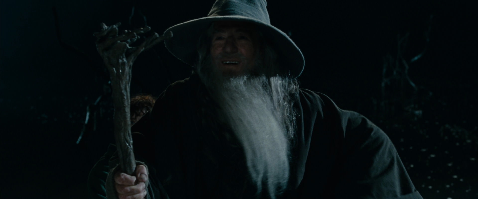 The Lord of the Rings: The Fellowship of the Ring (2001) screencap 14082