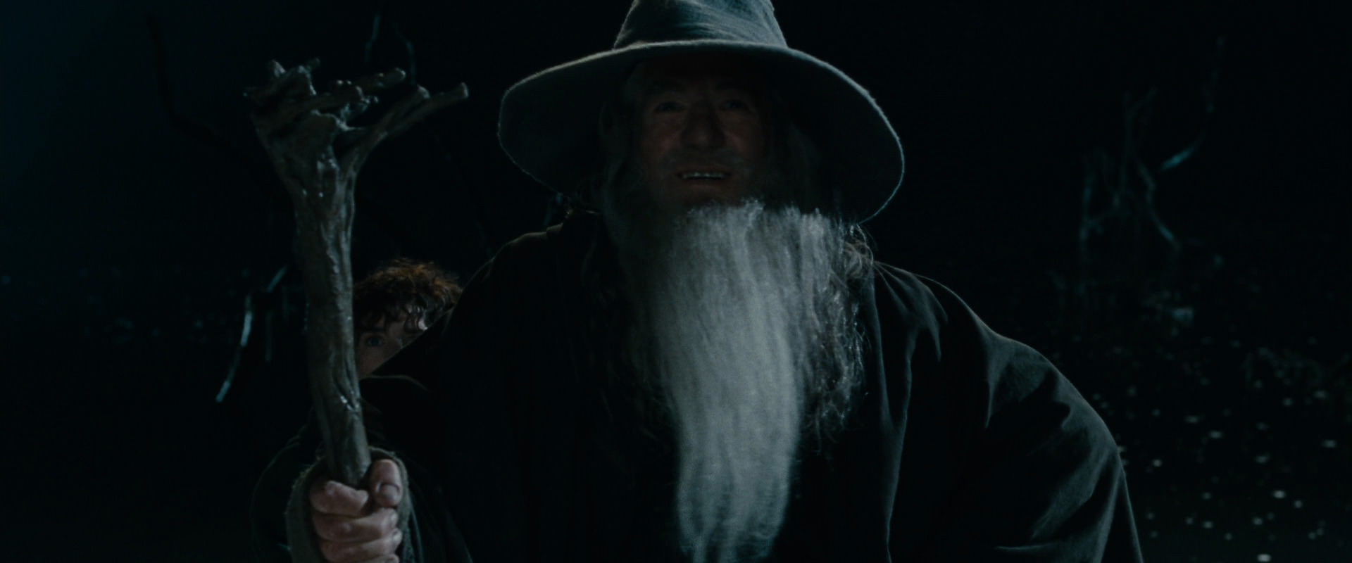 The Lord of the Rings: The Fellowship of the Ring (2001) movie still 14083
