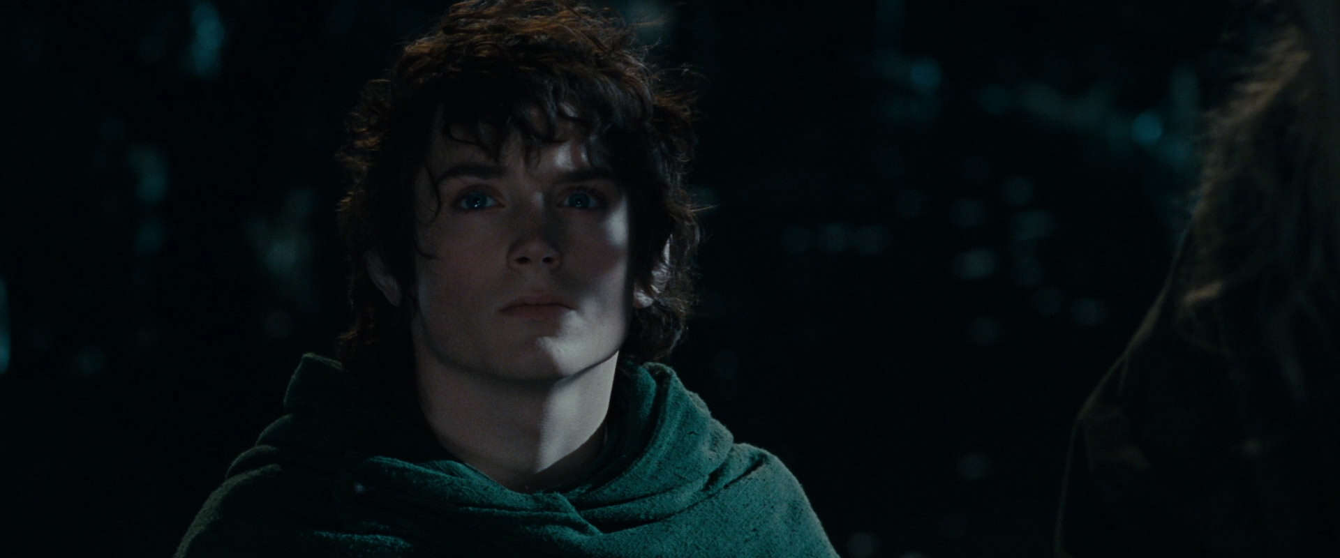 The Lord of the Rings: The Fellowship of the Ring (2001) screencap 14094