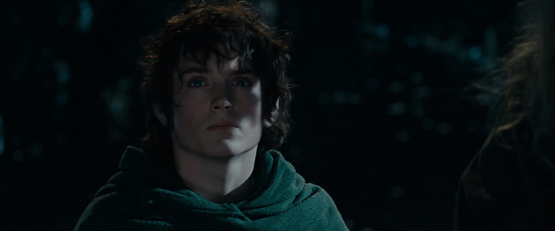 The Lord of the Rings: The Fellowship of the Ring (2001) movie still 14095