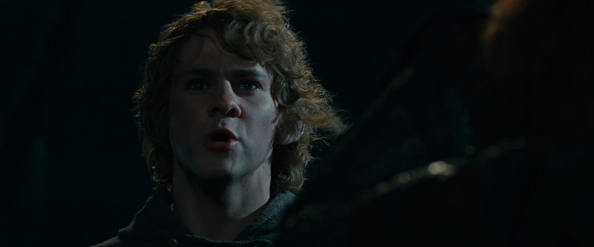 The Lord of the Rings: The Fellowship of the Ring (2001) movie still 14104