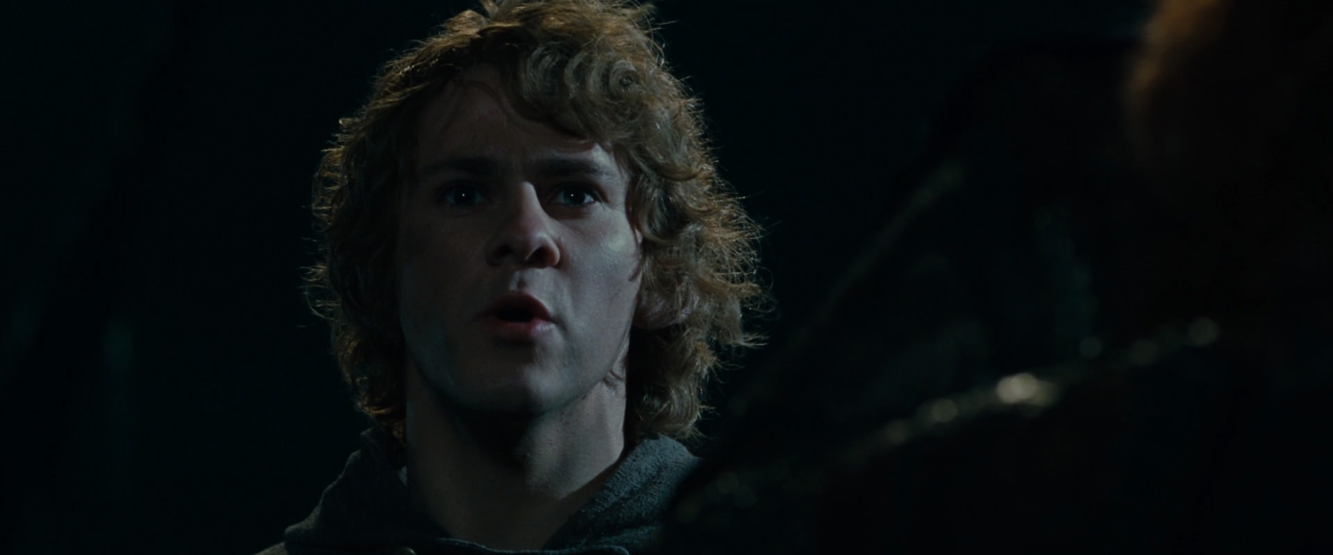 The Lord of the Rings: The Fellowship of the Ring (2001) HD screenshot 14105