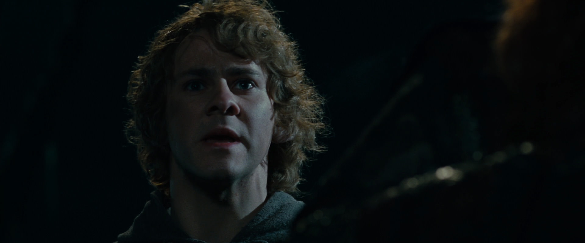 The Lord of the Rings: The Fellowship of the Ring (2001) screencap 14106