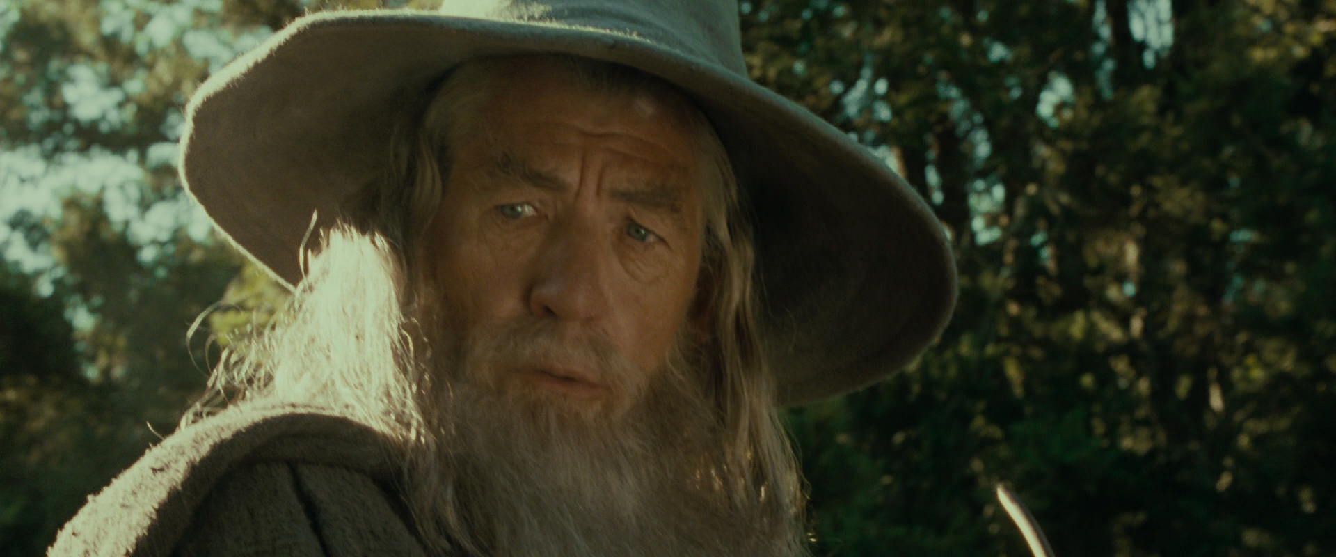The Lord of the Rings: The Fellowship of the Ring (2001) movie still 1411
