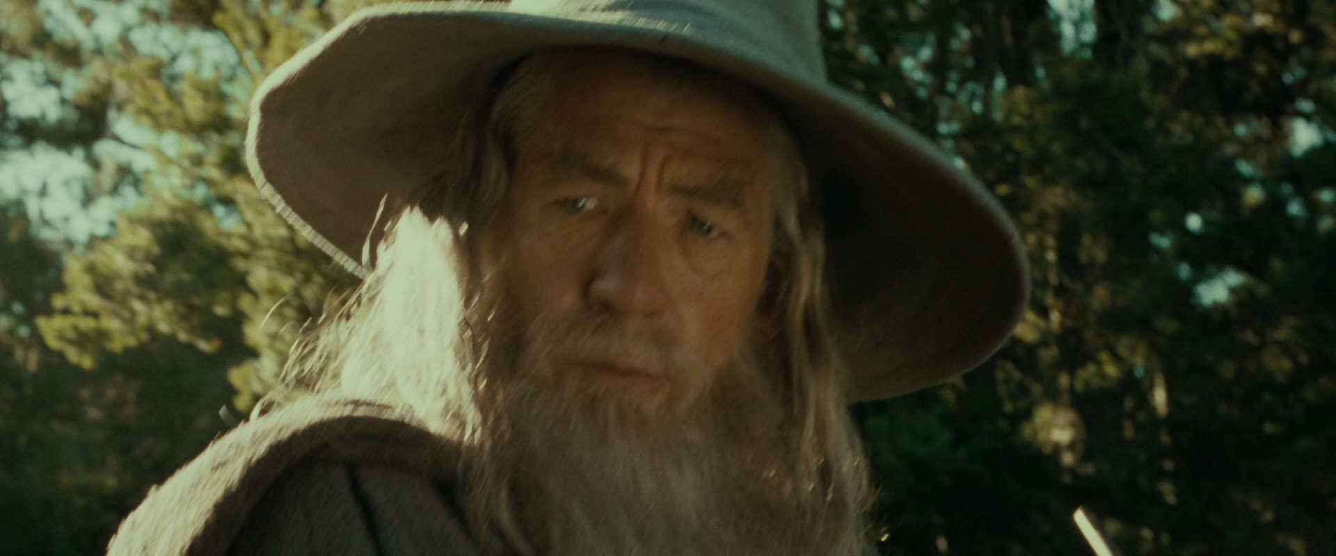 The Lord of the Rings: The Fellowship of the Ring (2001) HD screenshot 1412