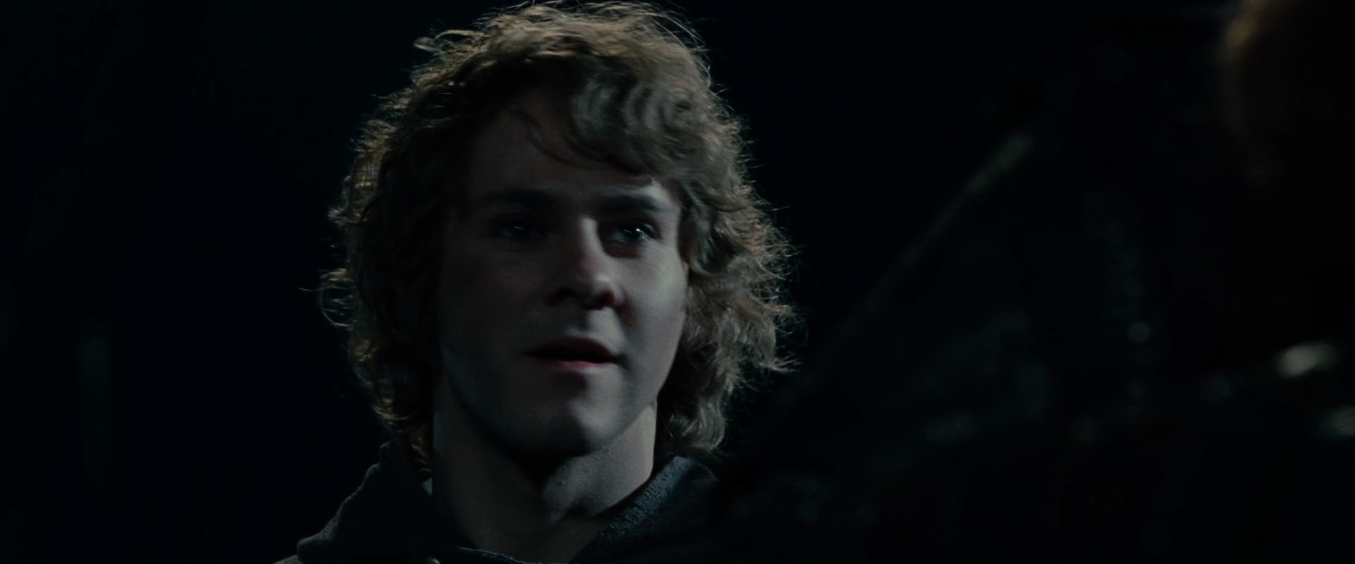 The Lord of the Rings: The Fellowship of the Ring (2001) screencap 14121
