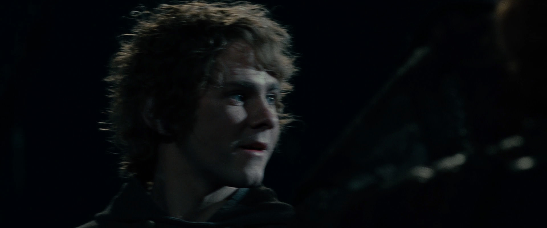 The Lord of the Rings: The Fellowship of the Ring (2001) movie still 14122