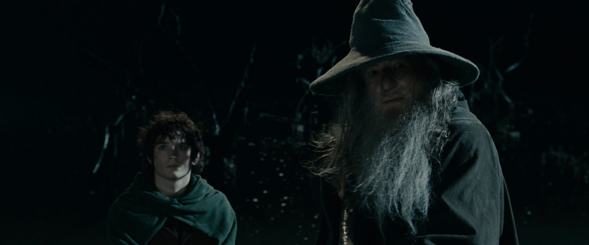 The Lord of the Rings: The Fellowship of the Ring (2001) HD screenshot 14132