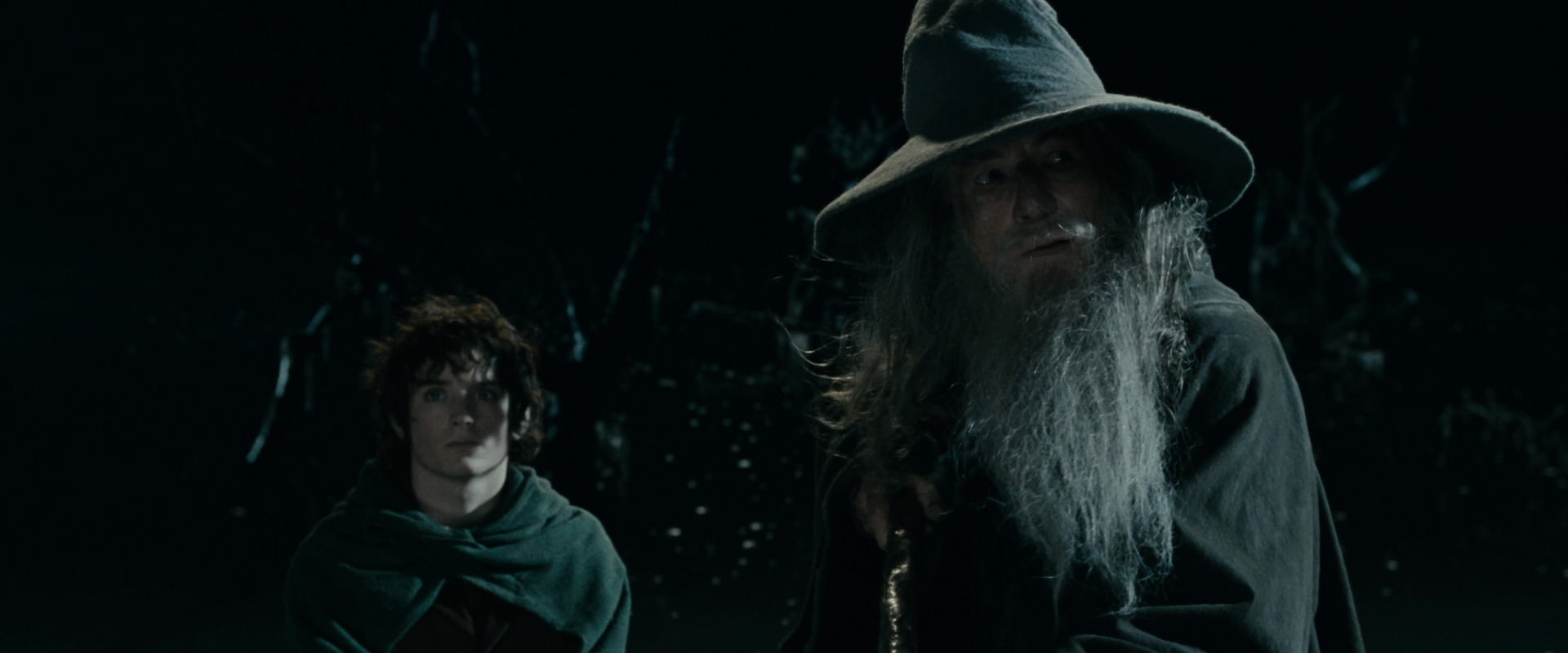 The Lord of the Rings: The Fellowship of the Ring (2001) screencap 14133
