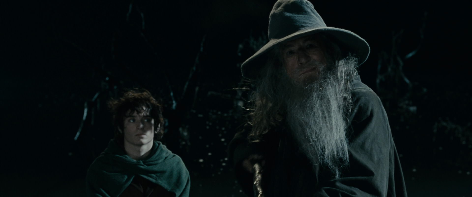 The Lord of the Rings: The Fellowship of the Ring (2001) movie still 14134