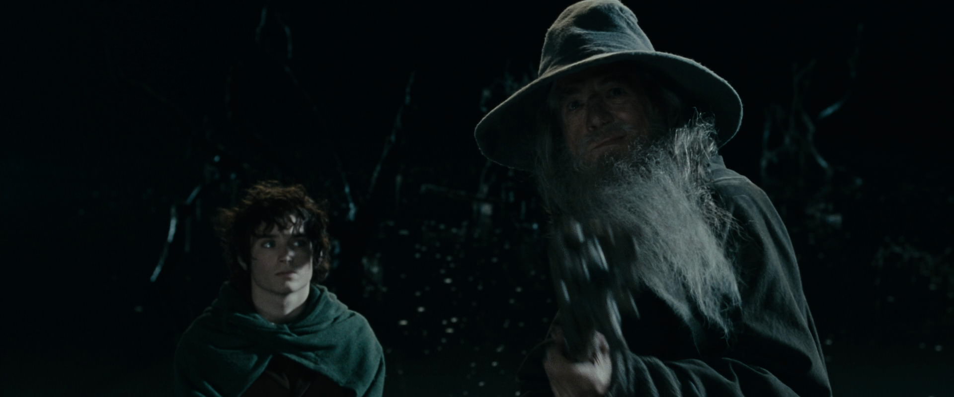 The Lord of the Rings: The Fellowship of the Ring (2001) HD screenshot 14135