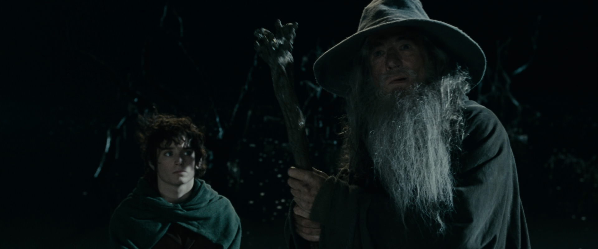 The Lord of the Rings: The Fellowship of the Ring (2001) screencap 14136