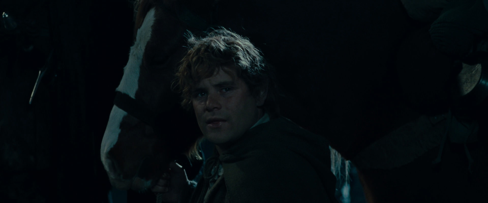 The Lord of the Rings: The Fellowship of the Ring (2001) HD screenshot 14138