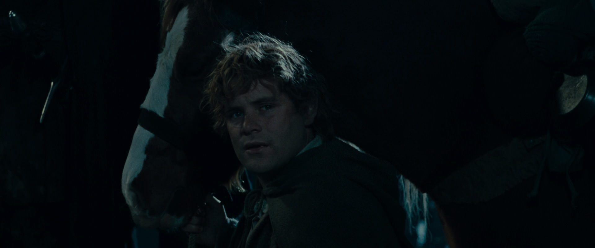 The Lord of the Rings: The Fellowship of the Ring (2001) screencap 14139