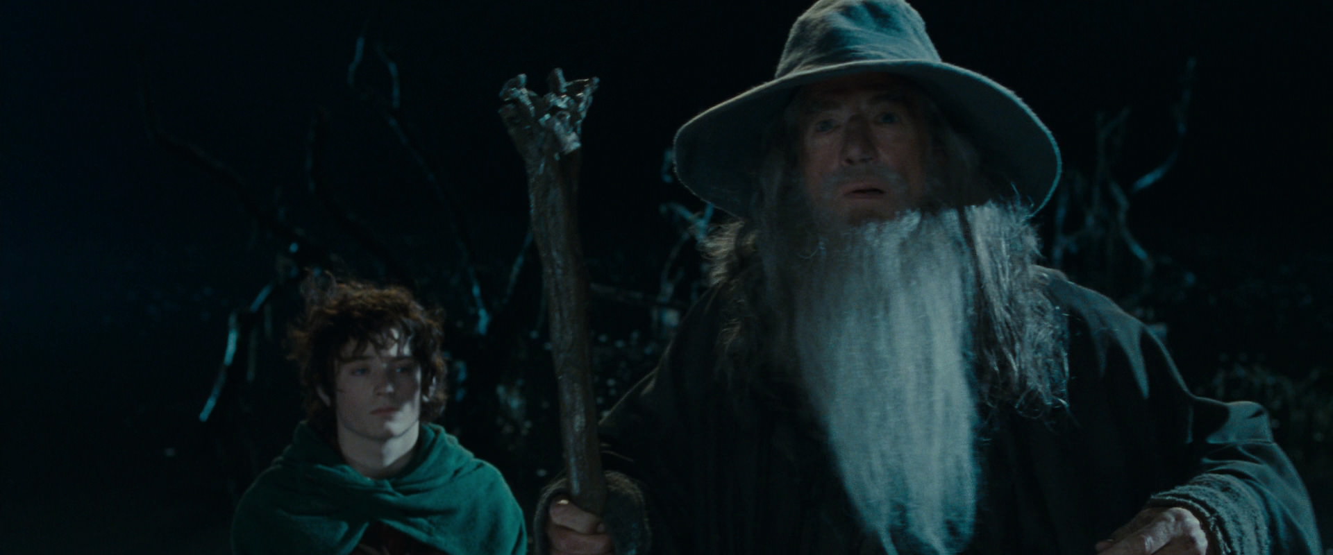 The Lord of the Rings: The Fellowship of the Ring (2001) movie still 14140