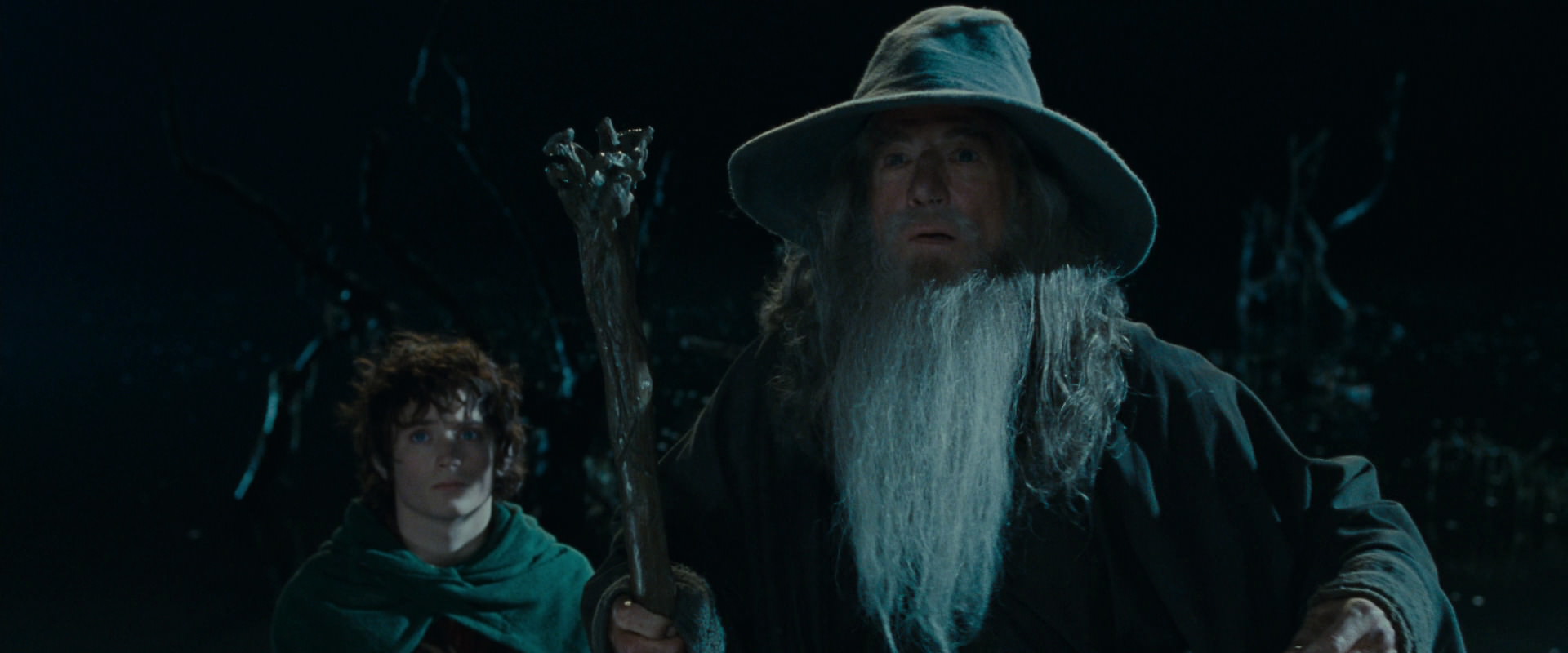 The Lord of the Rings: The Fellowship of the Ring (2001) HD screenshot 14141