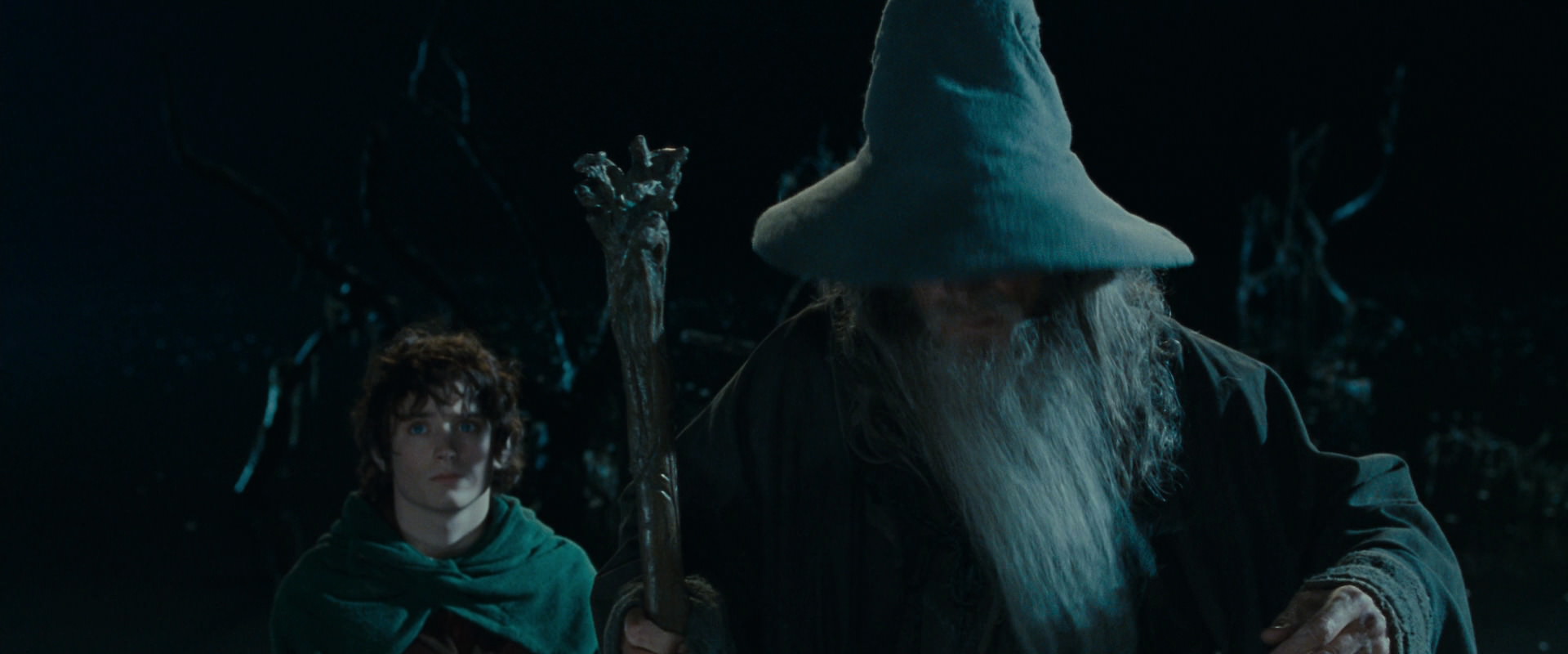 The Lord of the Rings: The Fellowship of the Ring (2001) screencap 14142