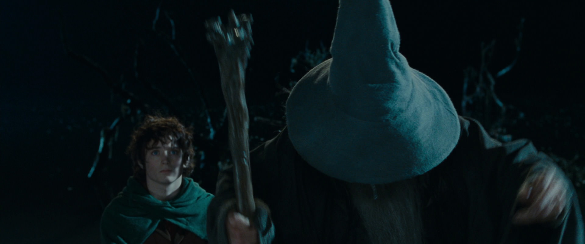 The Lord of the Rings: The Fellowship of the Ring (2001) movie still 14143