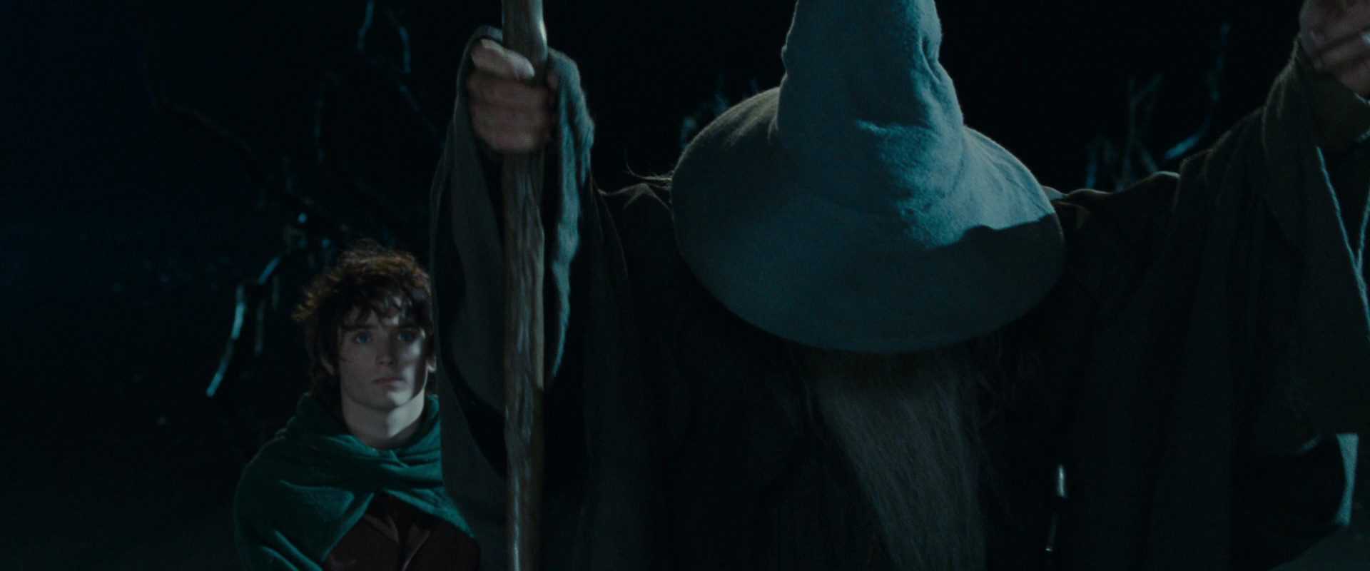 The Lord of the Rings: The Fellowship of the Ring (2001) HD screenshot 14144