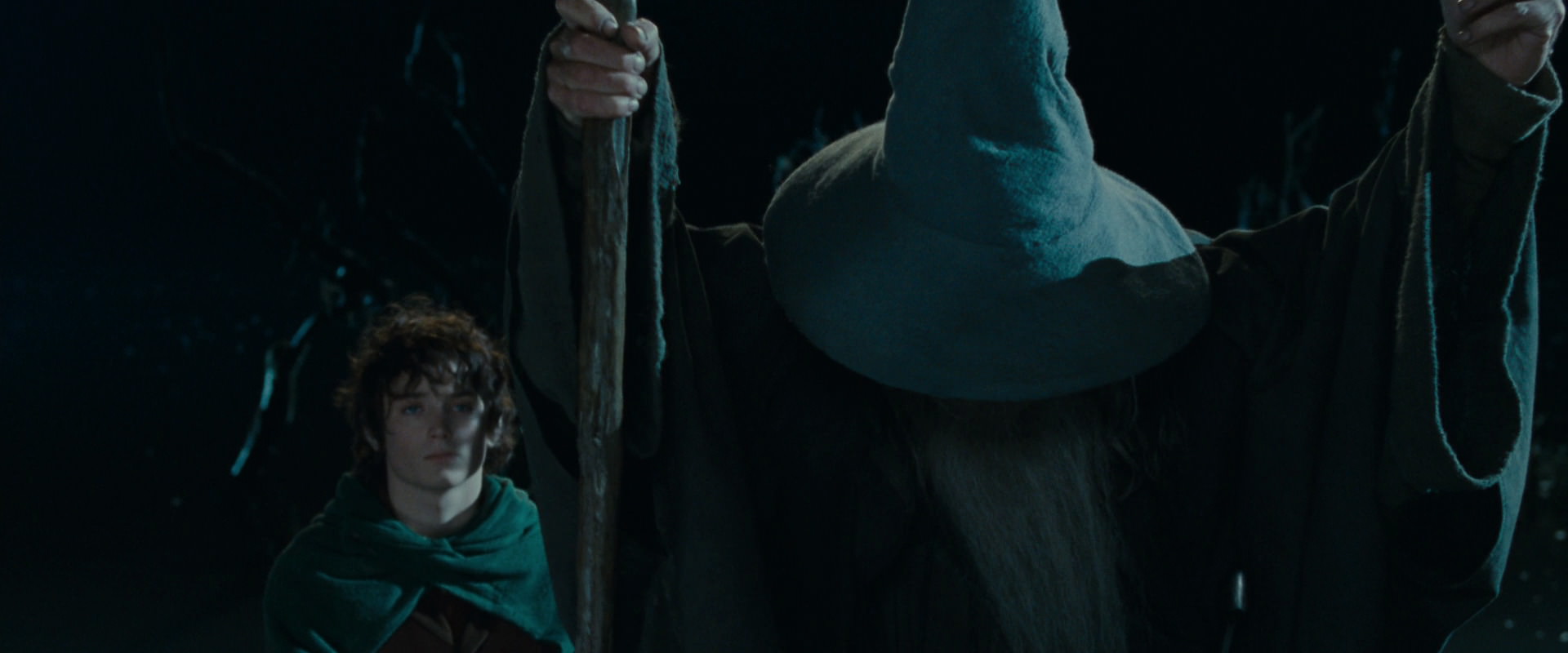 The Lord of the Rings: The Fellowship of the Ring (2001) screencap 14145
