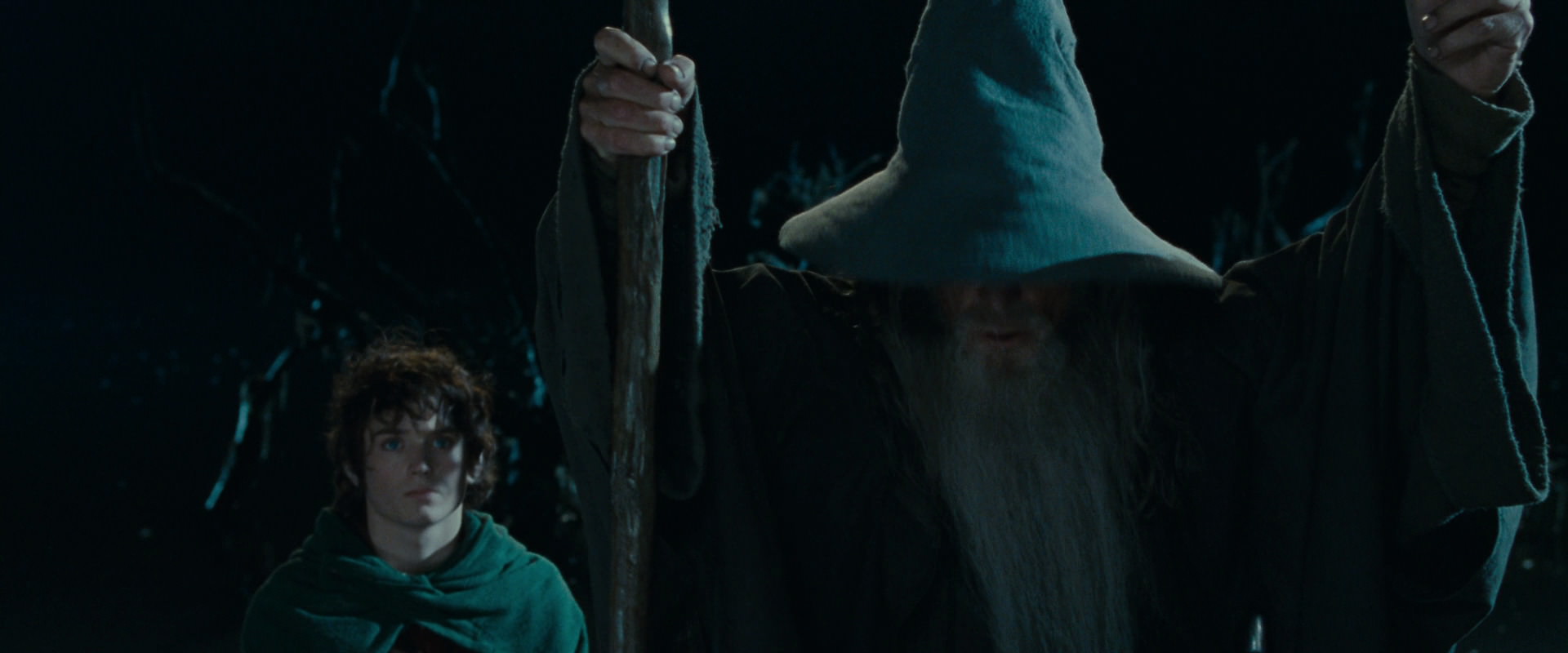 The Lord of the Rings: The Fellowship of the Ring (2001) movie still 14146