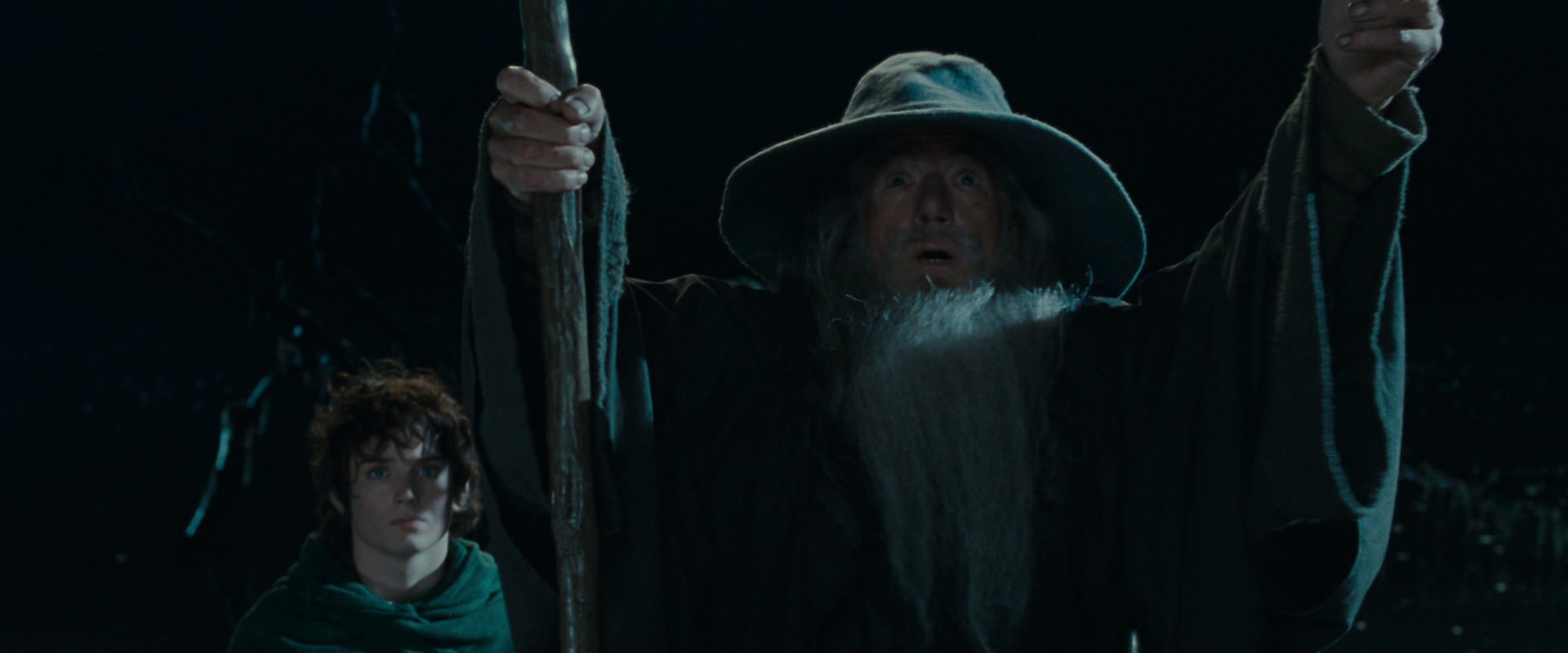 The Lord of the Rings: The Fellowship of the Ring (2001) HD screenshot 14147