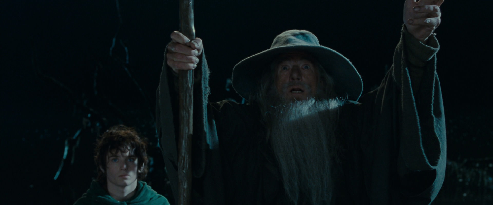 The Lord of the Rings: The Fellowship of the Ring (2001) screencap 14148