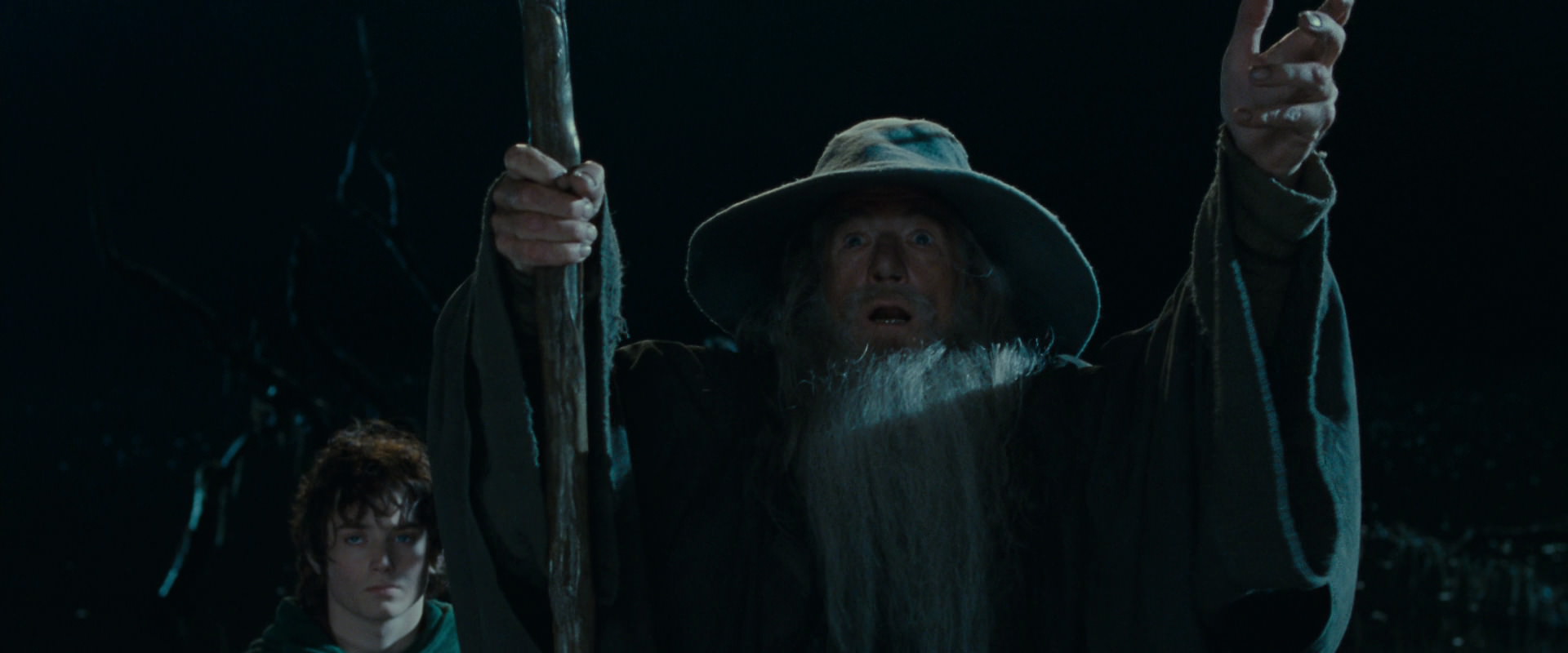 The Lord of the Rings: The Fellowship of the Ring (2001) movie still 14149