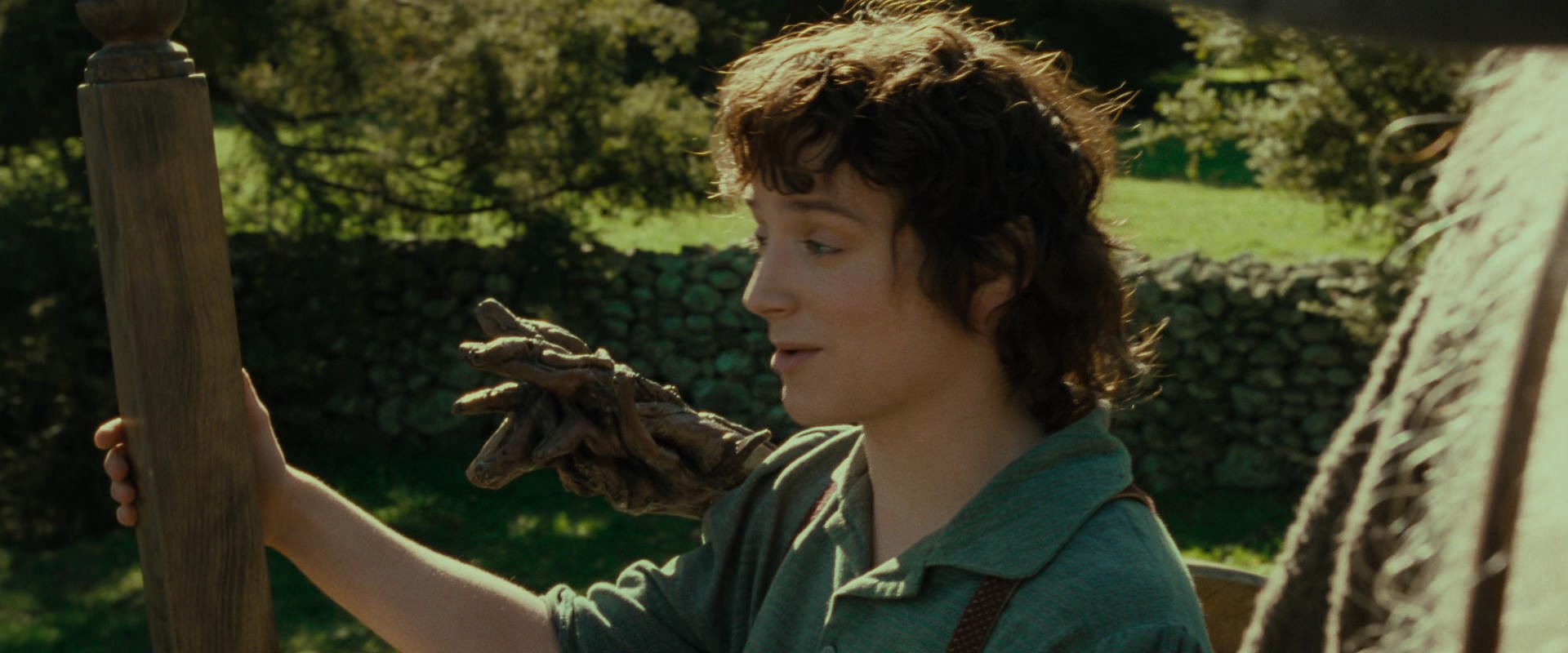 The Lord of the Rings: The Fellowship of the Ring (2001) HD screenshot 1415