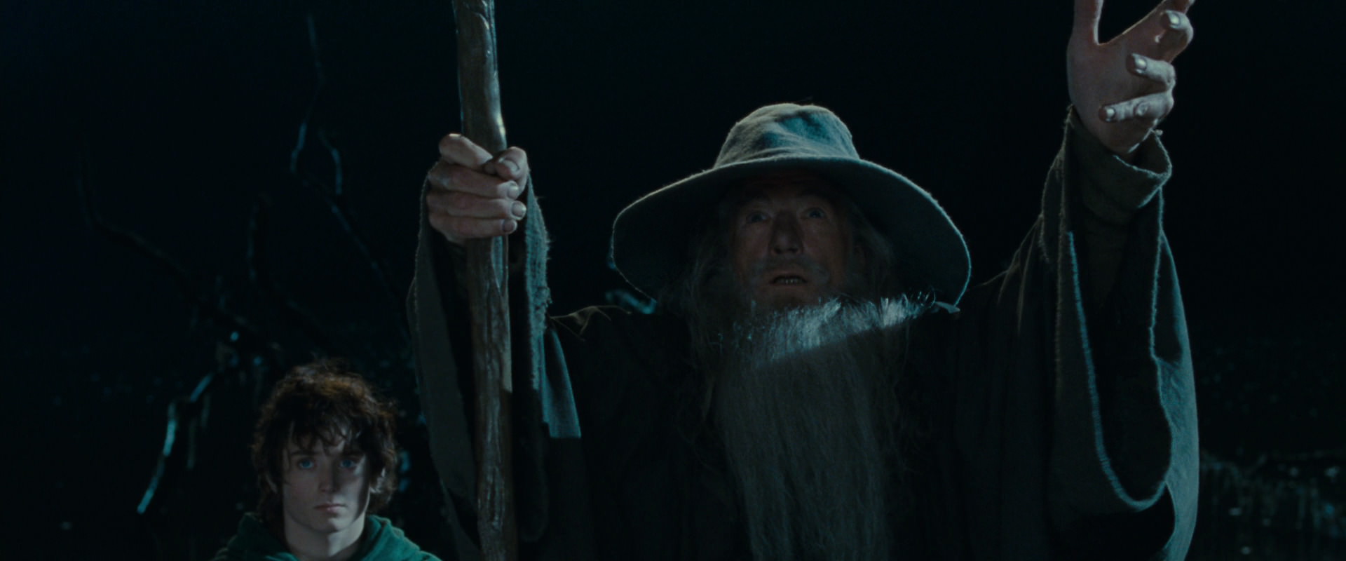 The Lord of the Rings: The Fellowship of the Ring (2001) HD screenshot 14150