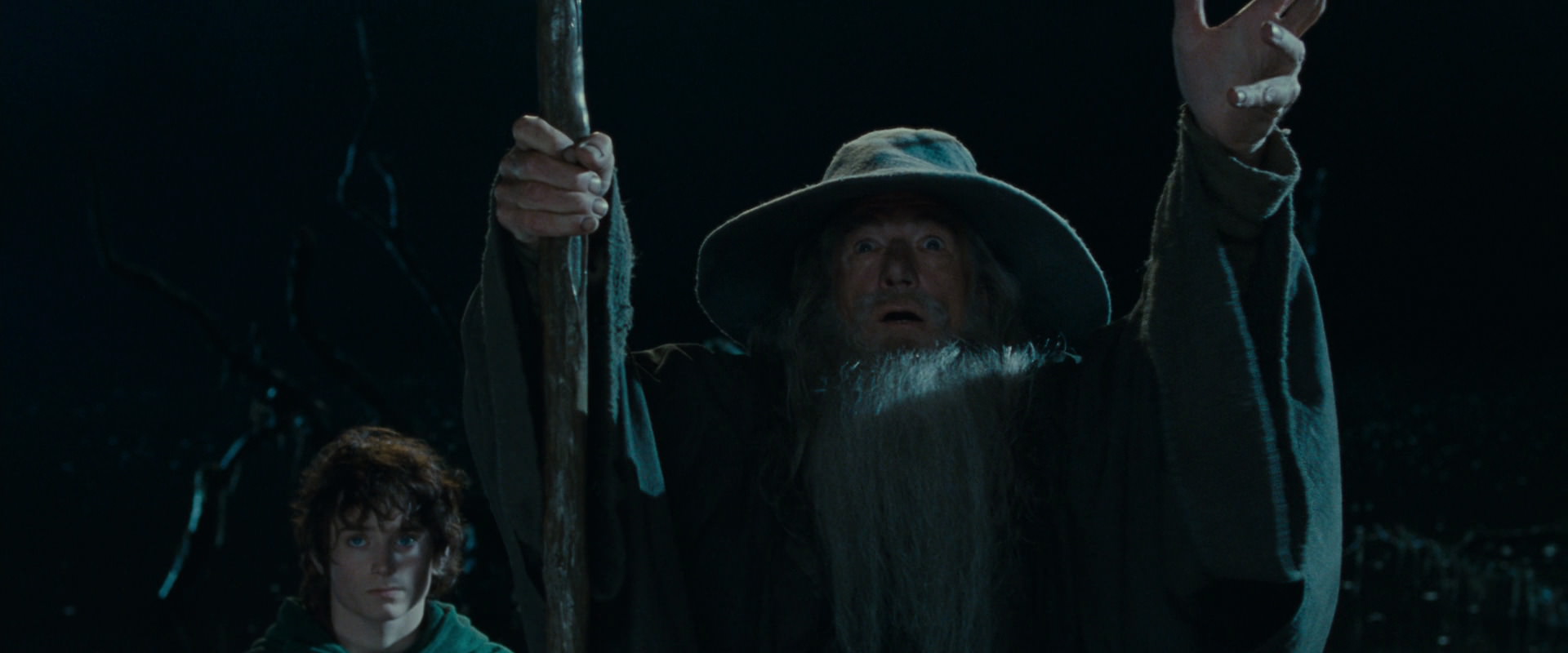 The Lord of the Rings: The Fellowship of the Ring (2001) screencap 14151