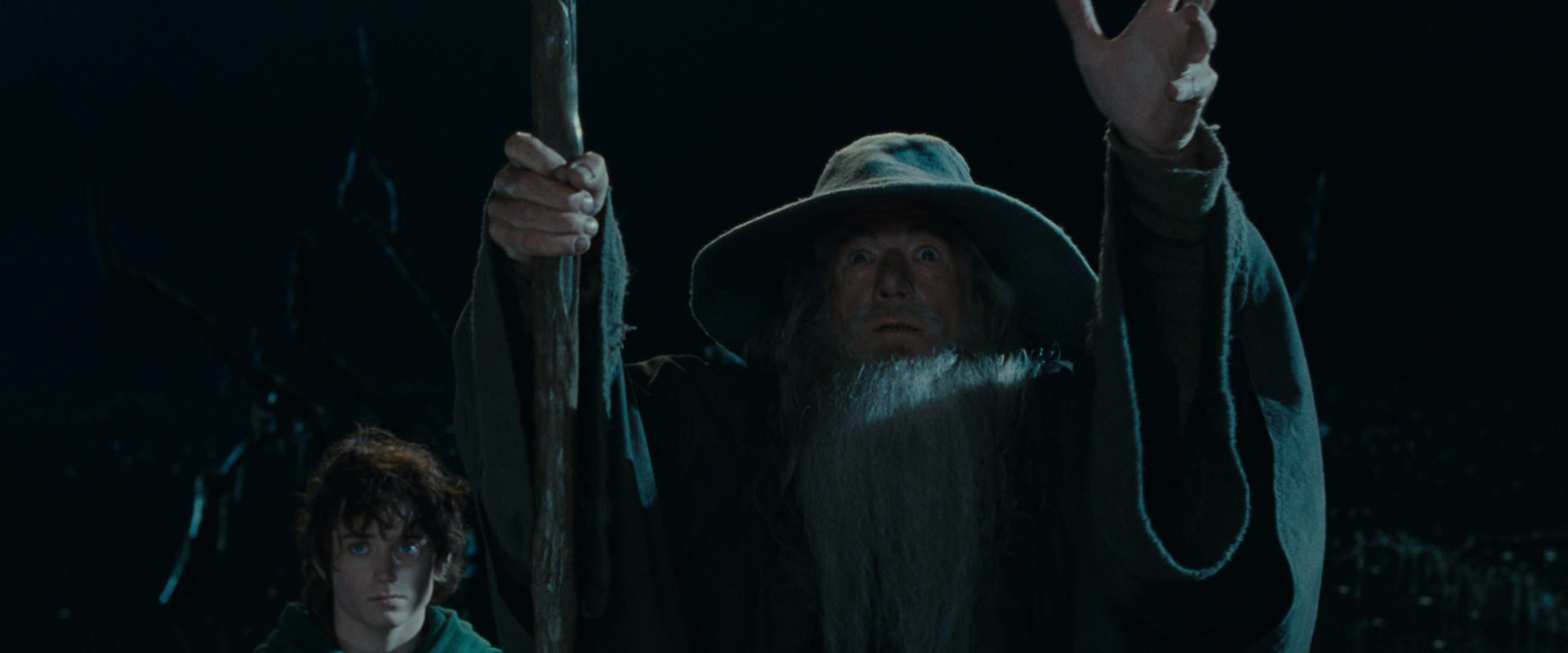 The Lord of the Rings: The Fellowship of the Ring (2001) movie still 14152
