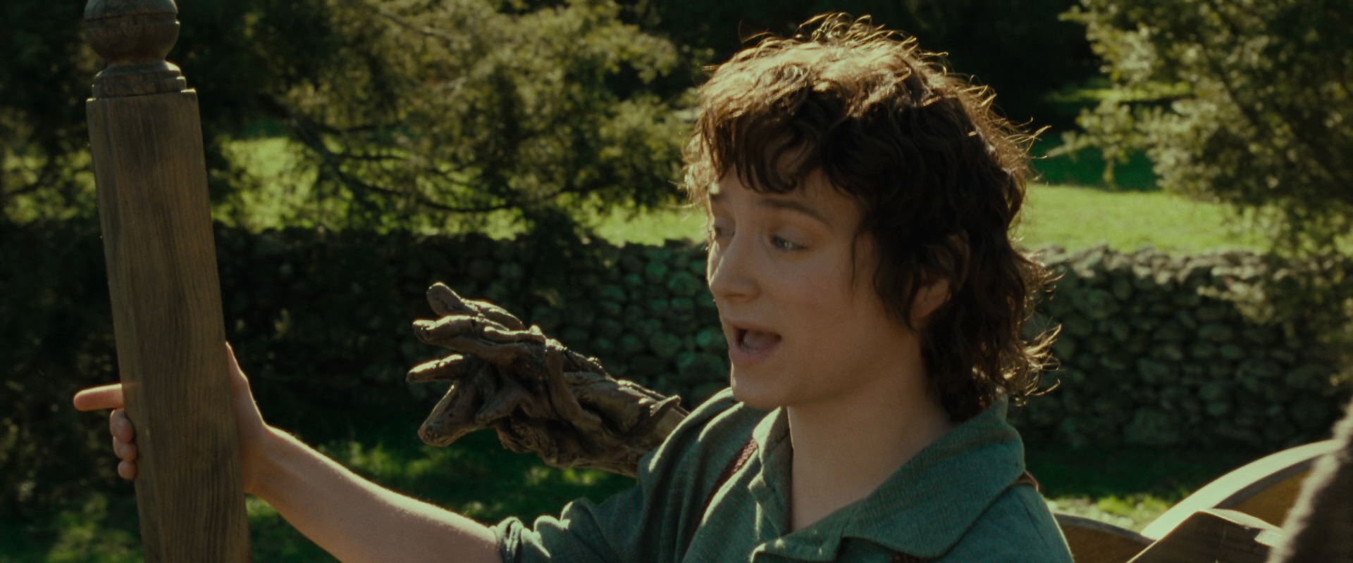 The Lord of the Rings: The Fellowship of the Ring (2001) screencap 1416