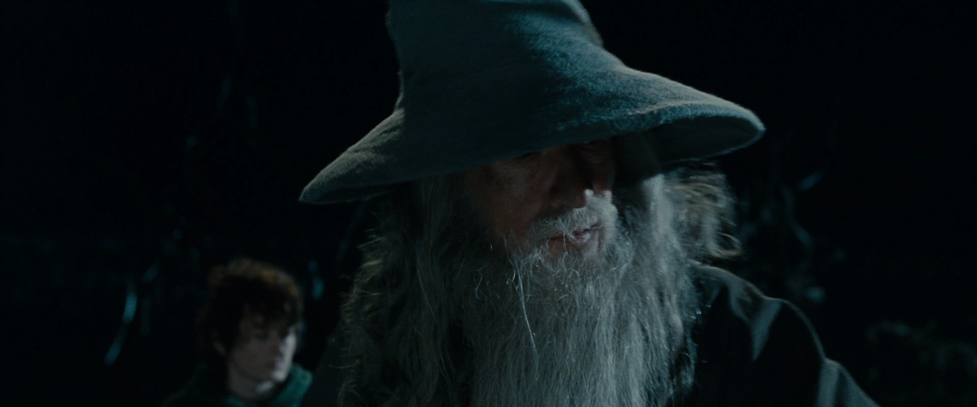 The Lord of the Rings: The Fellowship of the Ring (2001) HD screenshot 14168