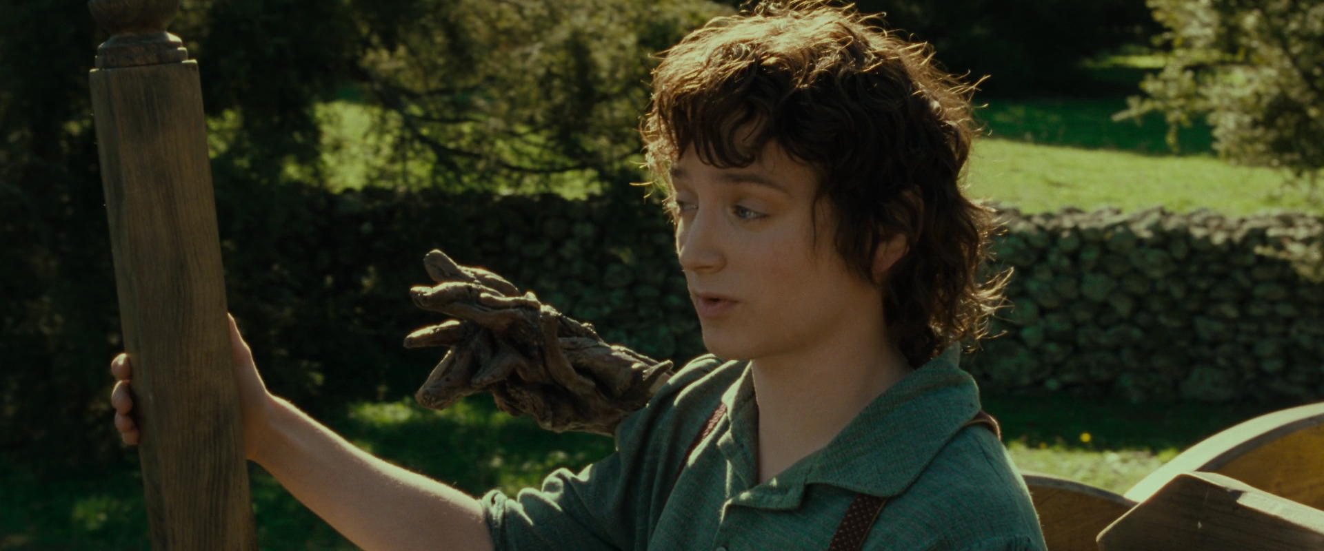 The Lord of the Rings: The Fellowship of the Ring (2001) movie still 1417