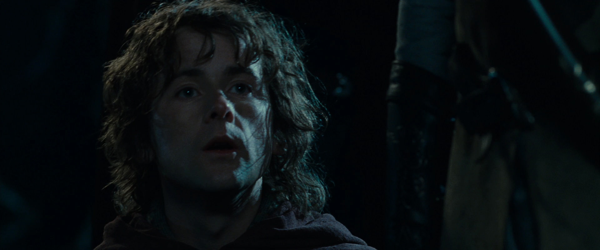 The Lord of the Rings: The Fellowship of the Ring (2001) HD screenshot 14195