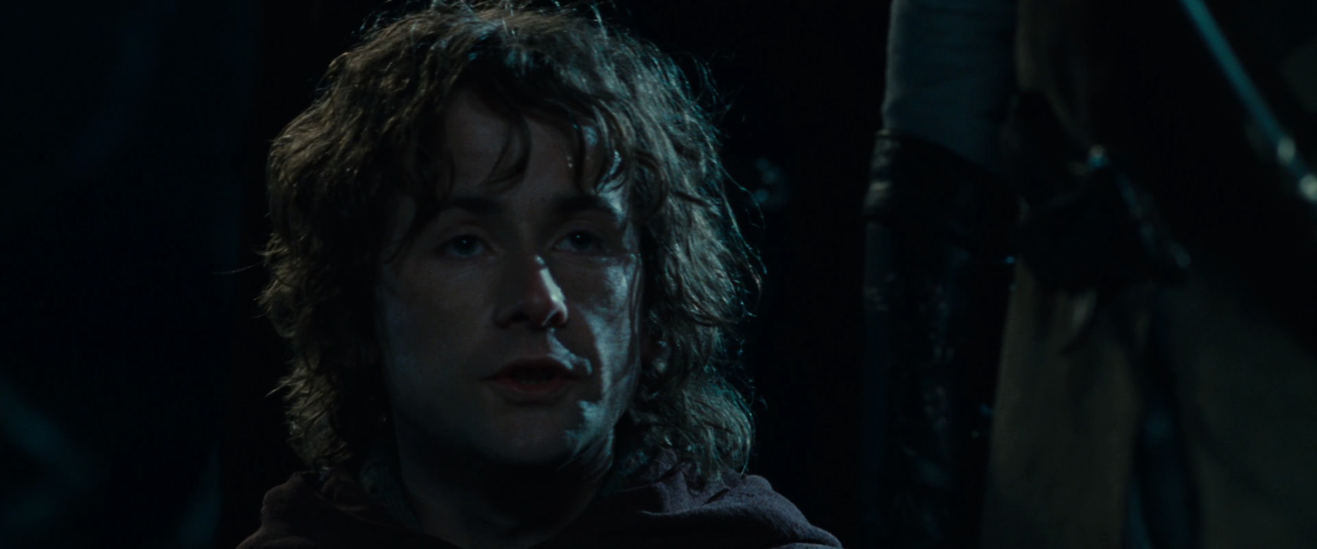 The Lord of the Rings: The Fellowship of the Ring (2001) screencap 14196