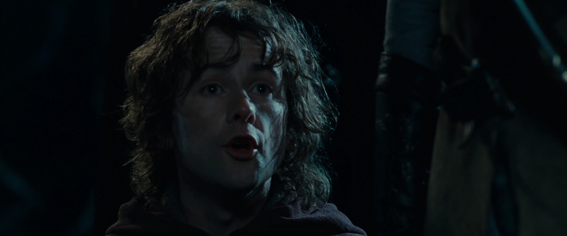 The Lord of the Rings: The Fellowship of the Ring (2001) movie still 14197