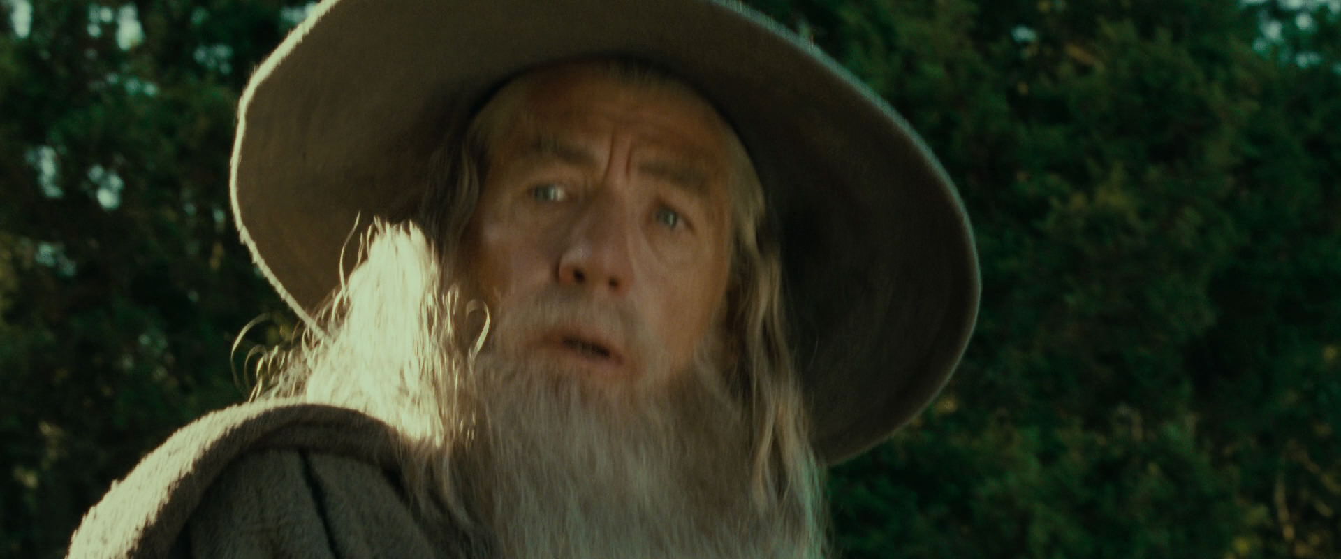 The Lord of the Rings: The Fellowship of the Ring (2001) movie still 1420
