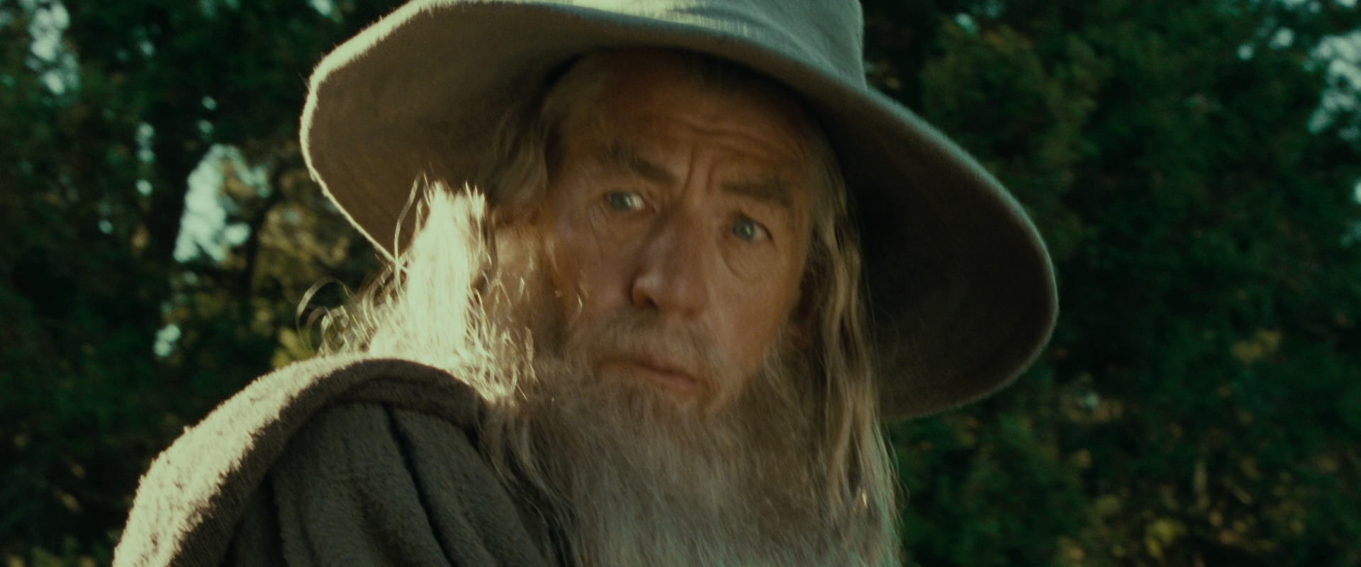 The Lord of the Rings: The Fellowship of the Ring (2001) HD screenshot 1421
