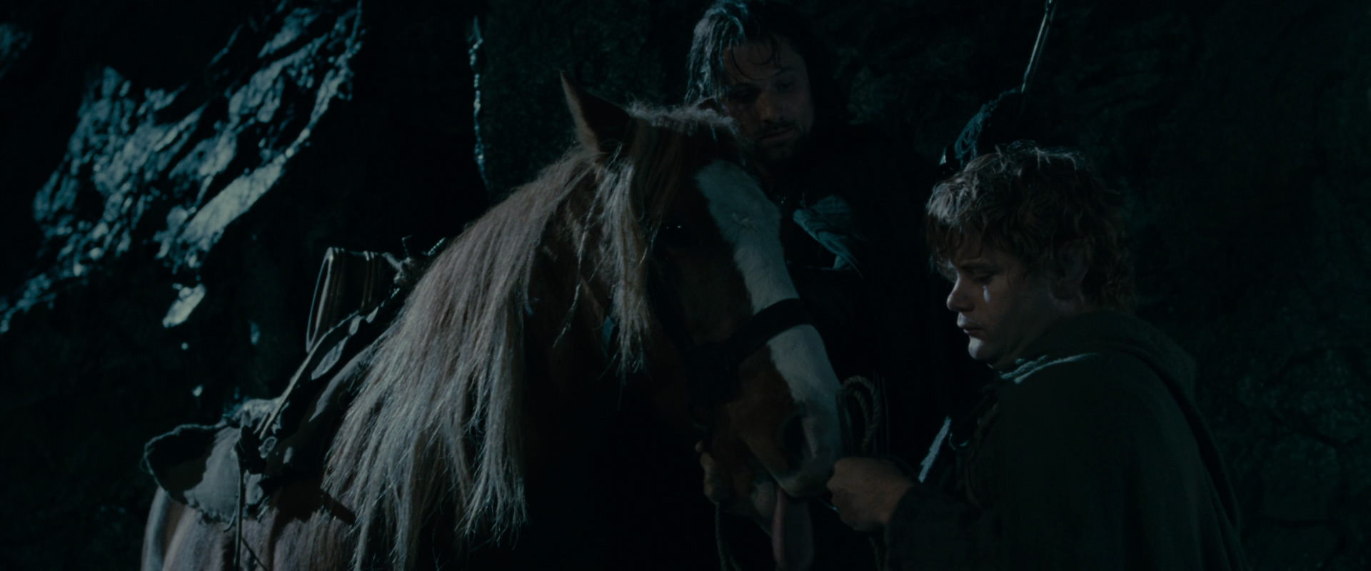 The Lord of the Rings: The Fellowship of the Ring (2001) HD screenshot 14246