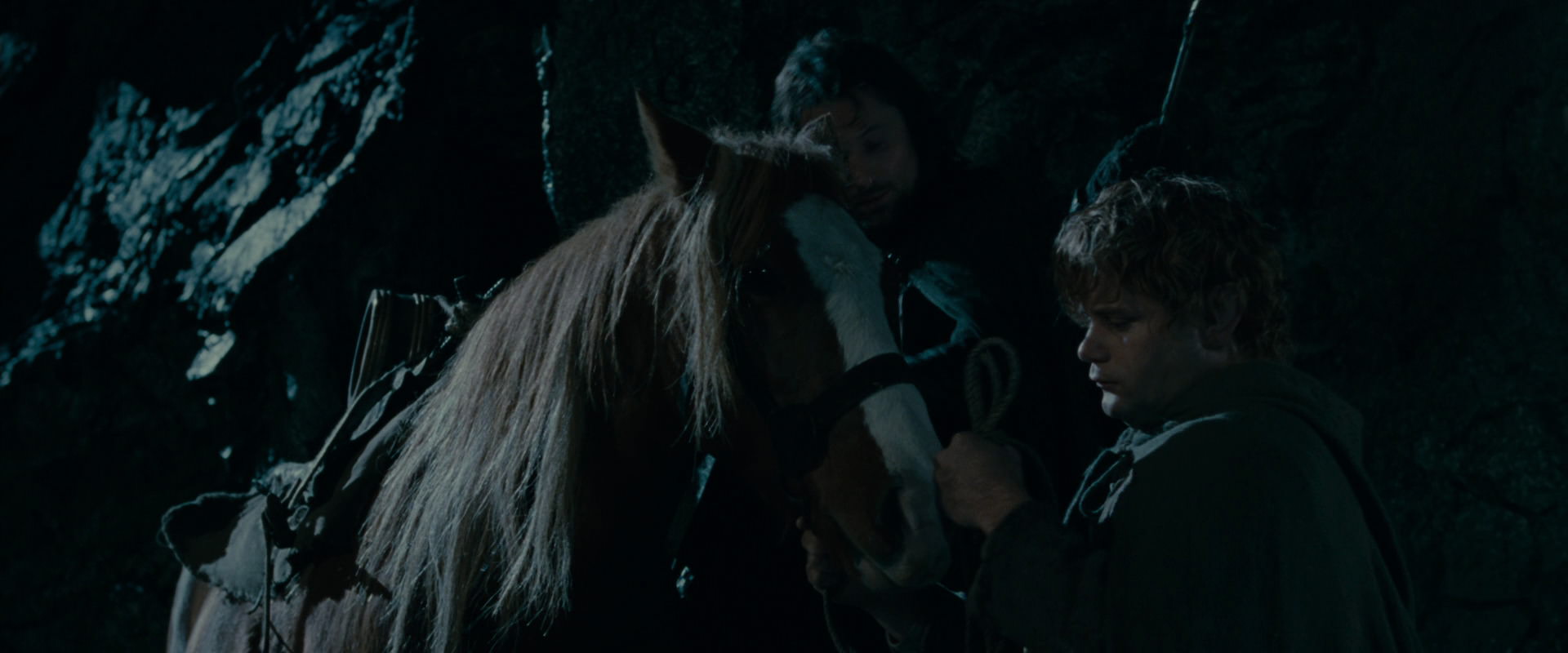 The Lord of the Rings: The Fellowship of the Ring (2001) screencap 14247