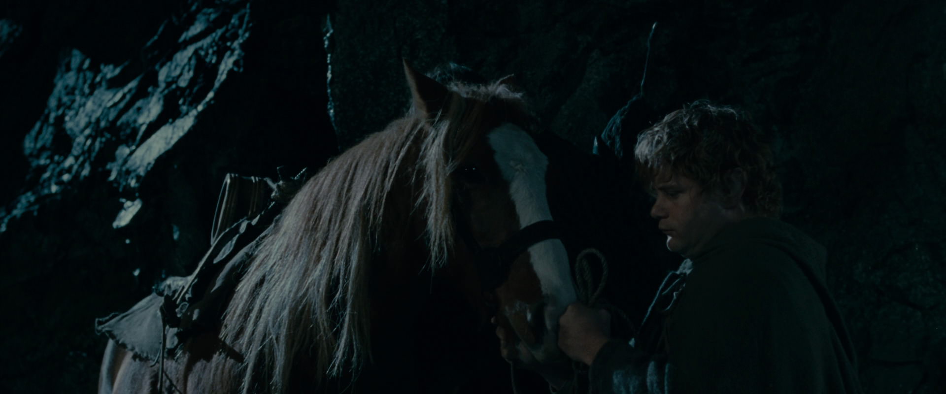 The Lord of the Rings: The Fellowship of the Ring (2001) movie still 14248