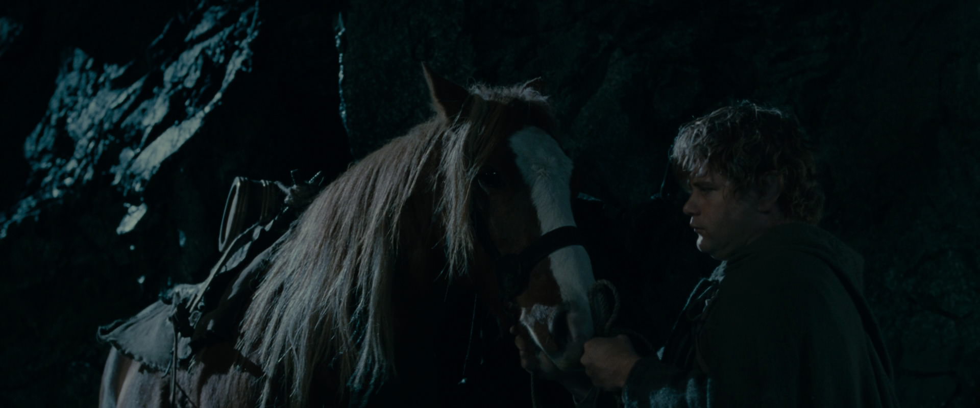 The Lord of the Rings: The Fellowship of the Ring (2001) HD screenshot 14249