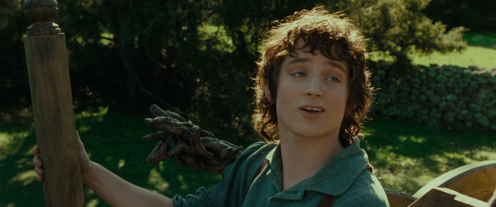 The Lord of the Rings: The Fellowship of the Ring (2001) screencap 1425