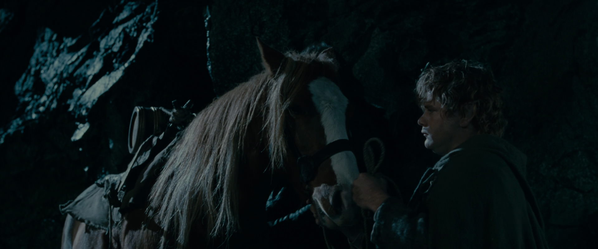 The Lord of the Rings: The Fellowship of the Ring (2001) screencap 14250