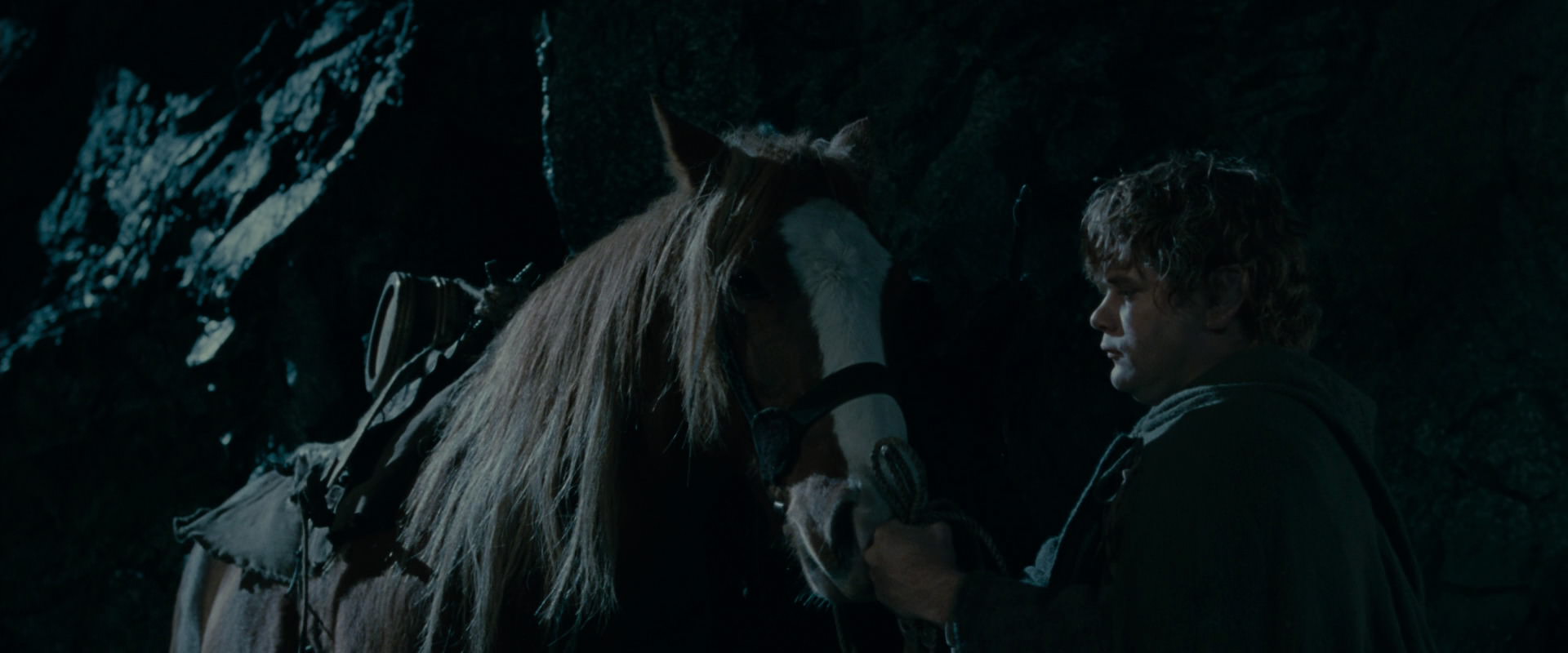 The Lord of the Rings: The Fellowship of the Ring (2001) movie still 14251