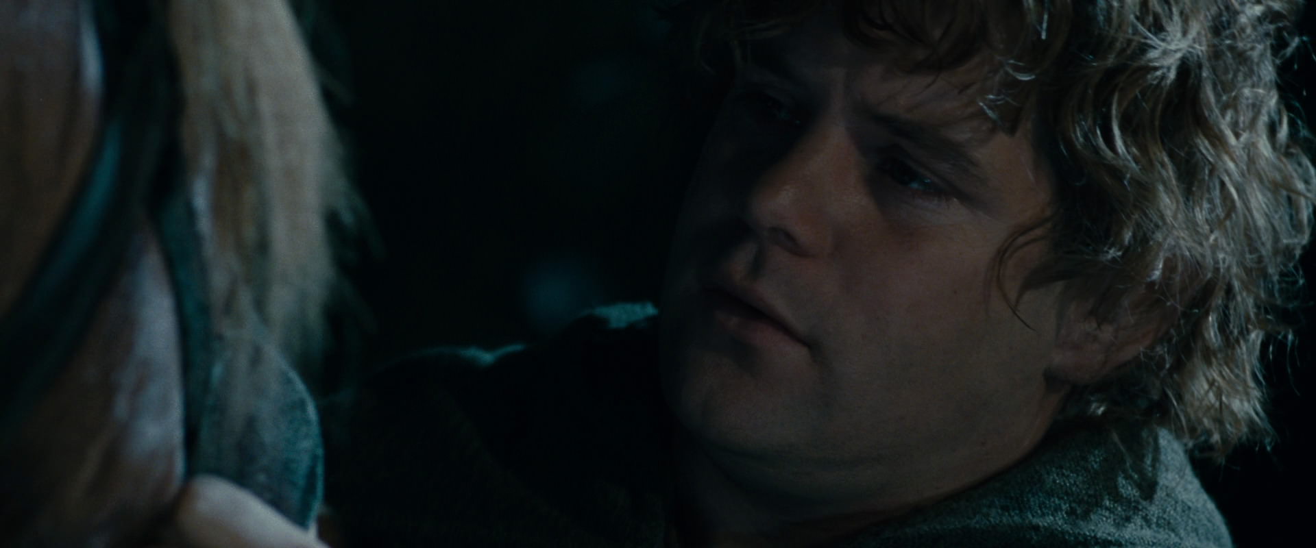 The Lord of the Rings: The Fellowship of the Ring (2001) HD screenshot 14252