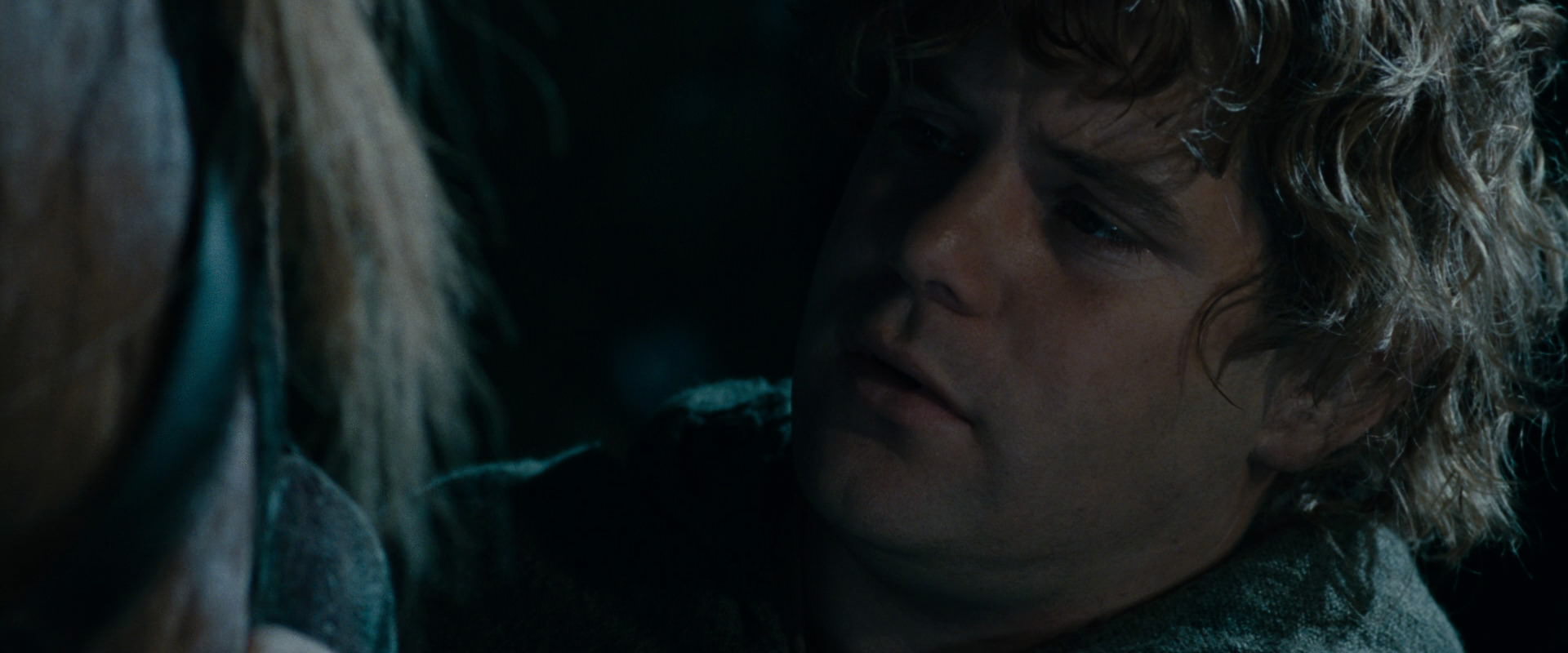 The Lord of the Rings: The Fellowship of the Ring (2001) screencap 14253