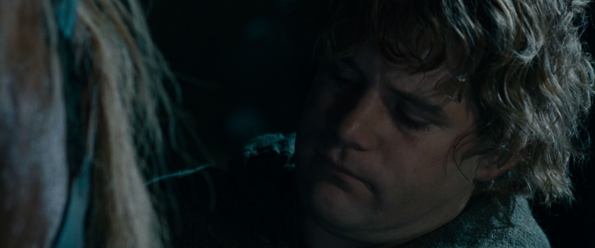 The Lord of the Rings: The Fellowship of the Ring (2001) HD screenshot 14255